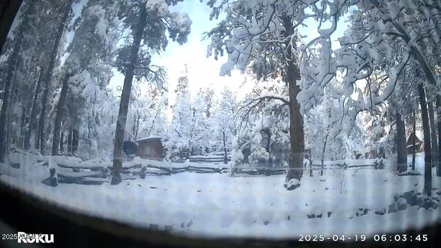 $350,000 | 135 Spruce Drive, Mormon Lake, AZ 86038