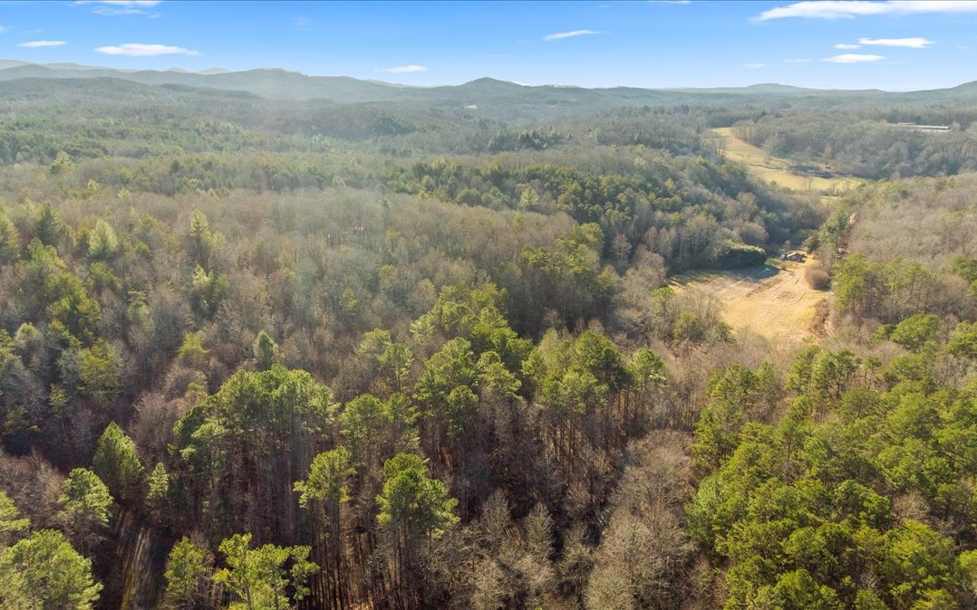 Fowler Road Ellijay, GA 30536 - Photo 14 of 20 Additional View