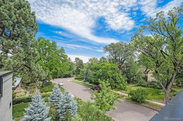 a view of a garden with plants and large trees