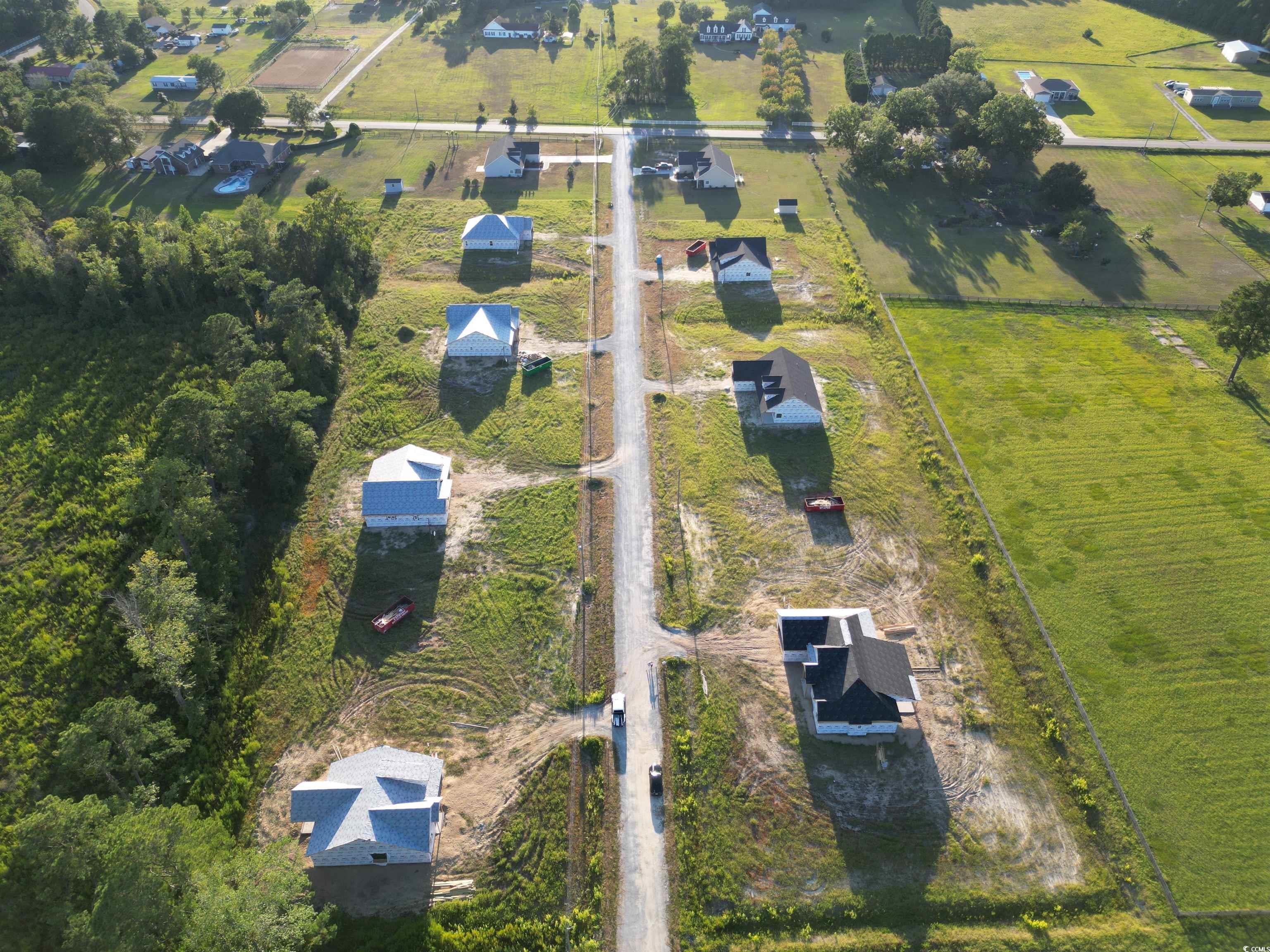 107 Infinity Lane Loris, SC 29569 - Photo 30 of 31 Aerial view