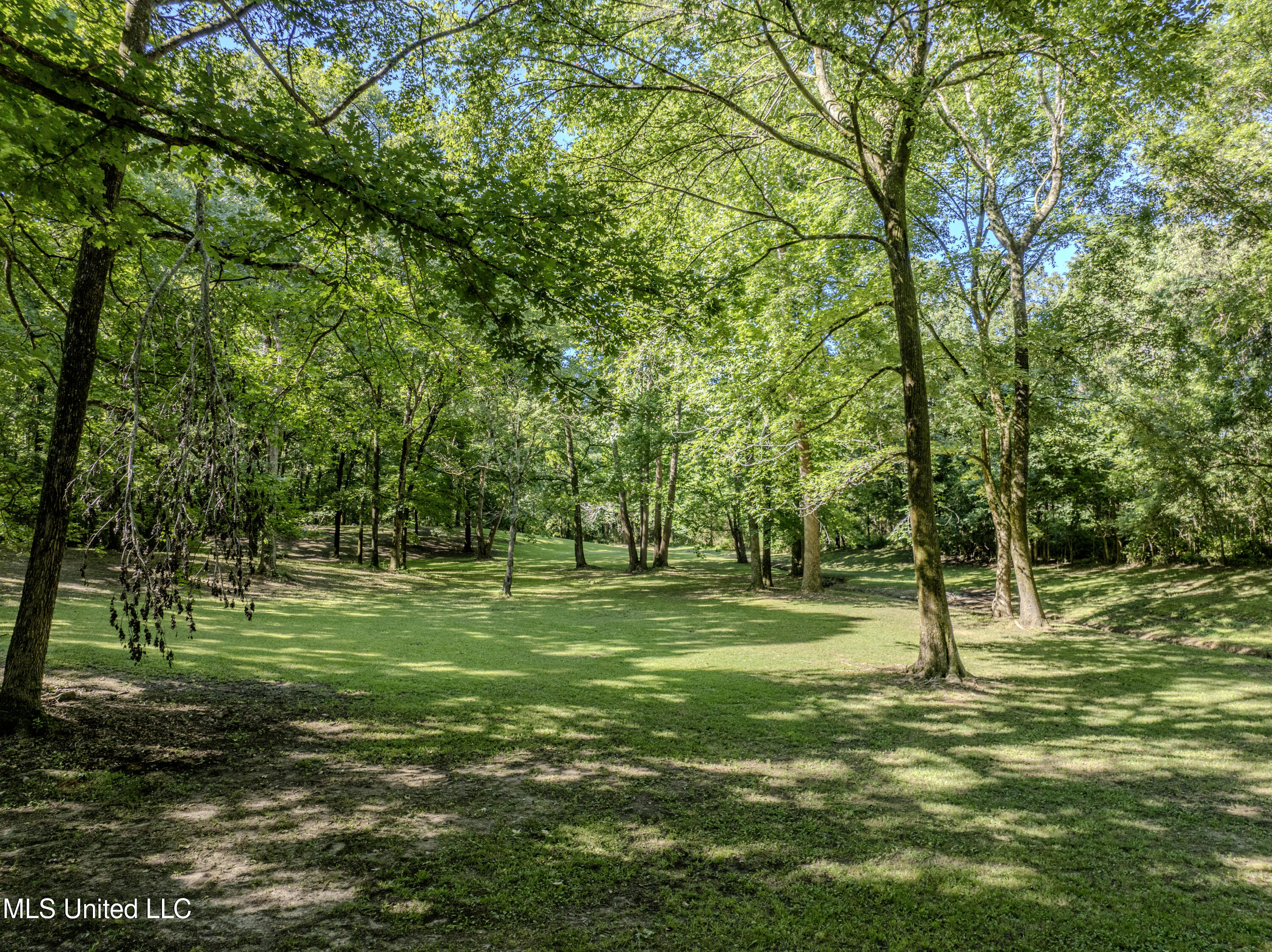 1034 Graham Road Coldwater, MS 38618 - Photo 24 of 75 graham-28