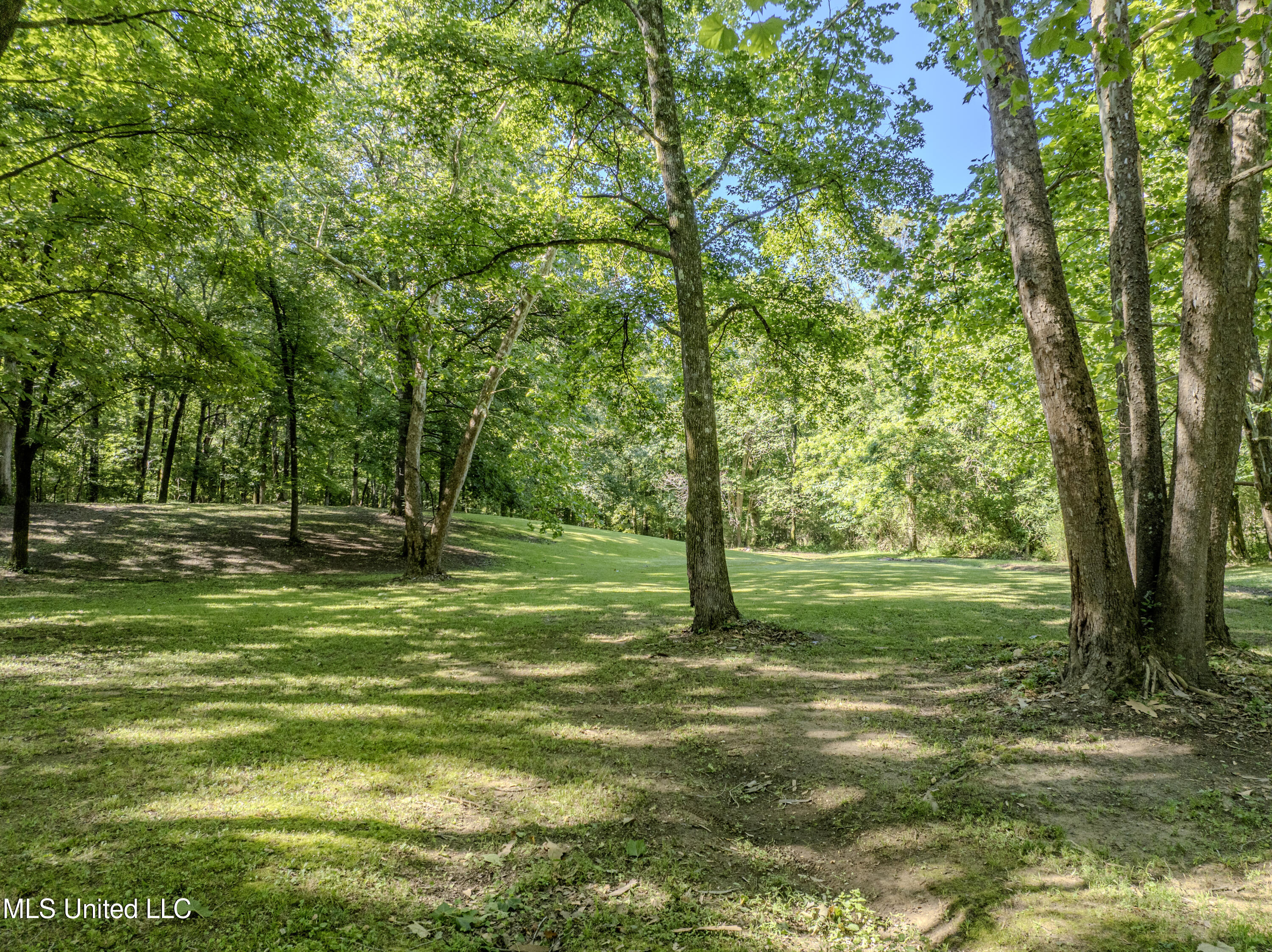 1034 Graham Road Coldwater, MS 38618 - Photo 25 of 75 graham-29