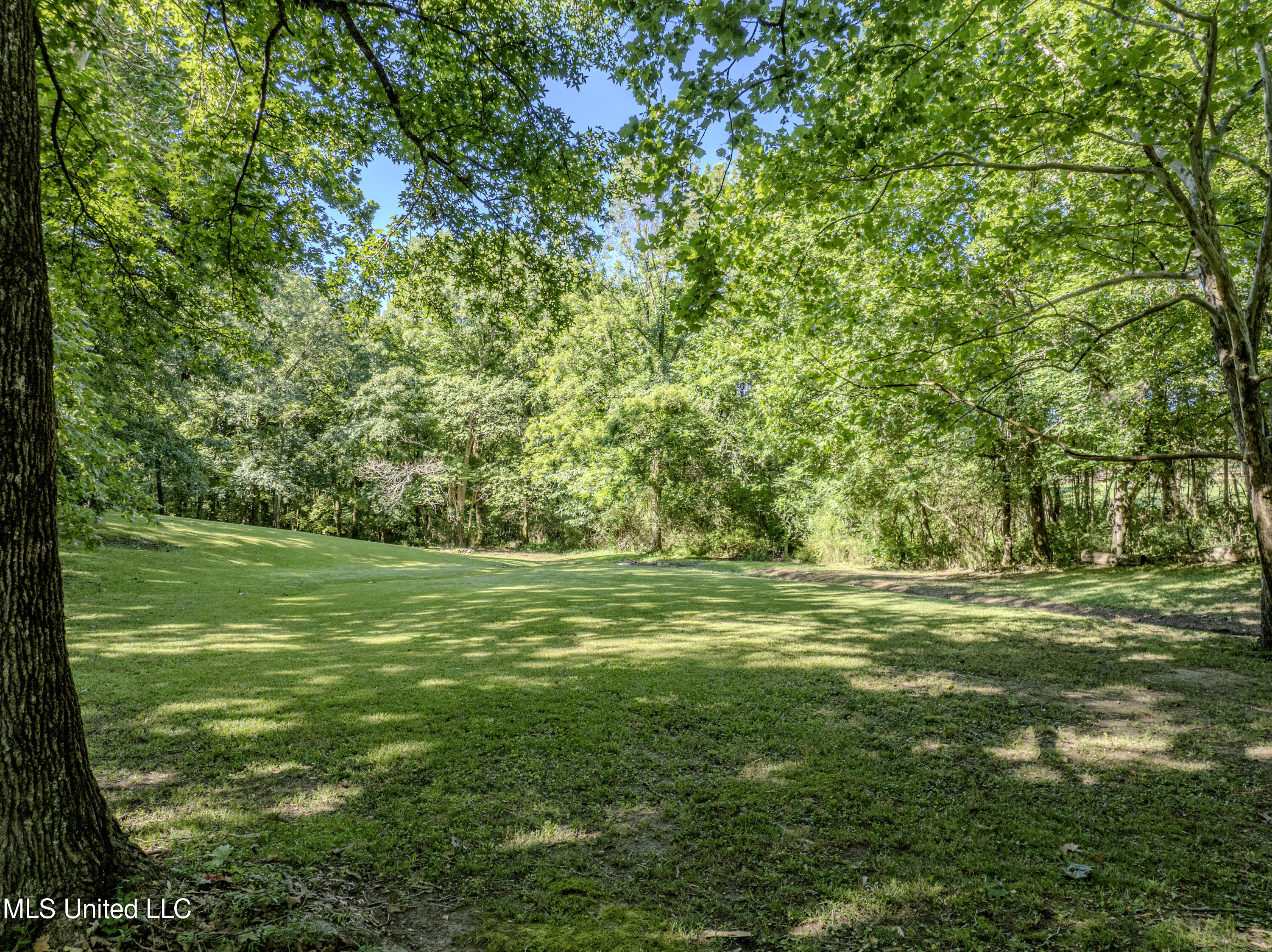 1034 Graham Road Coldwater, MS 38618 - Photo 26 of 75 graham-30