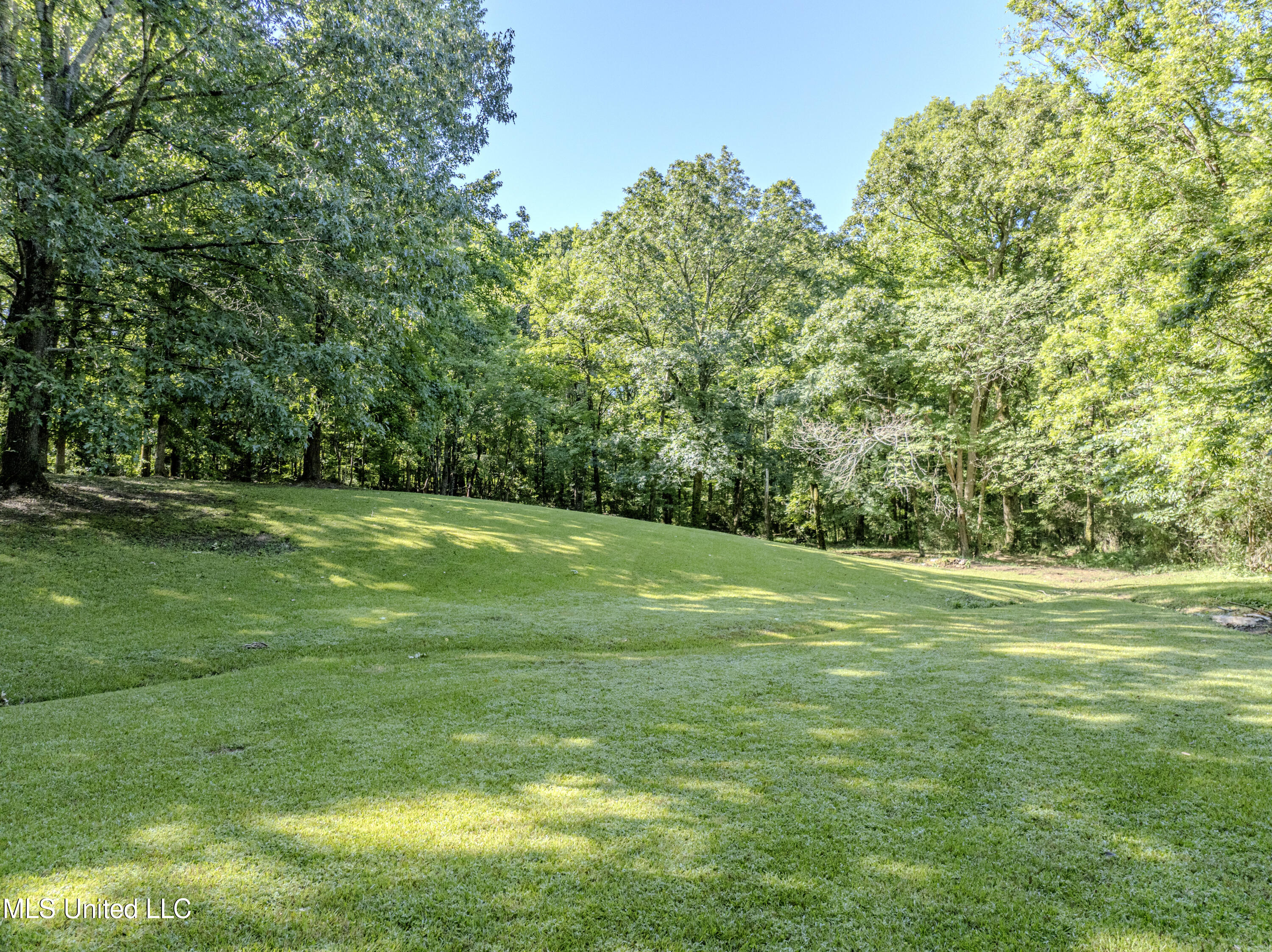 1034 Graham Road Coldwater, MS 38618 - Photo 27 of 75 graham-31