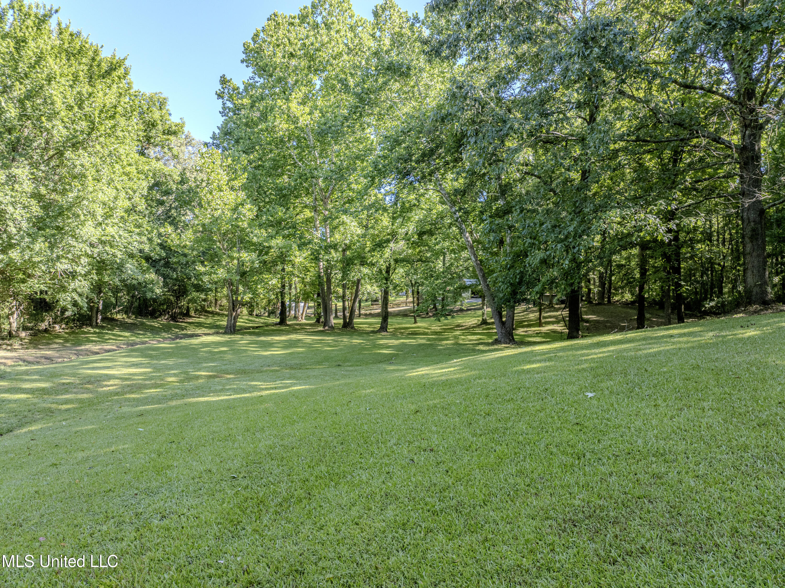 1034 Graham Road Coldwater, MS 38618 - Photo 28 of 75 graham-33