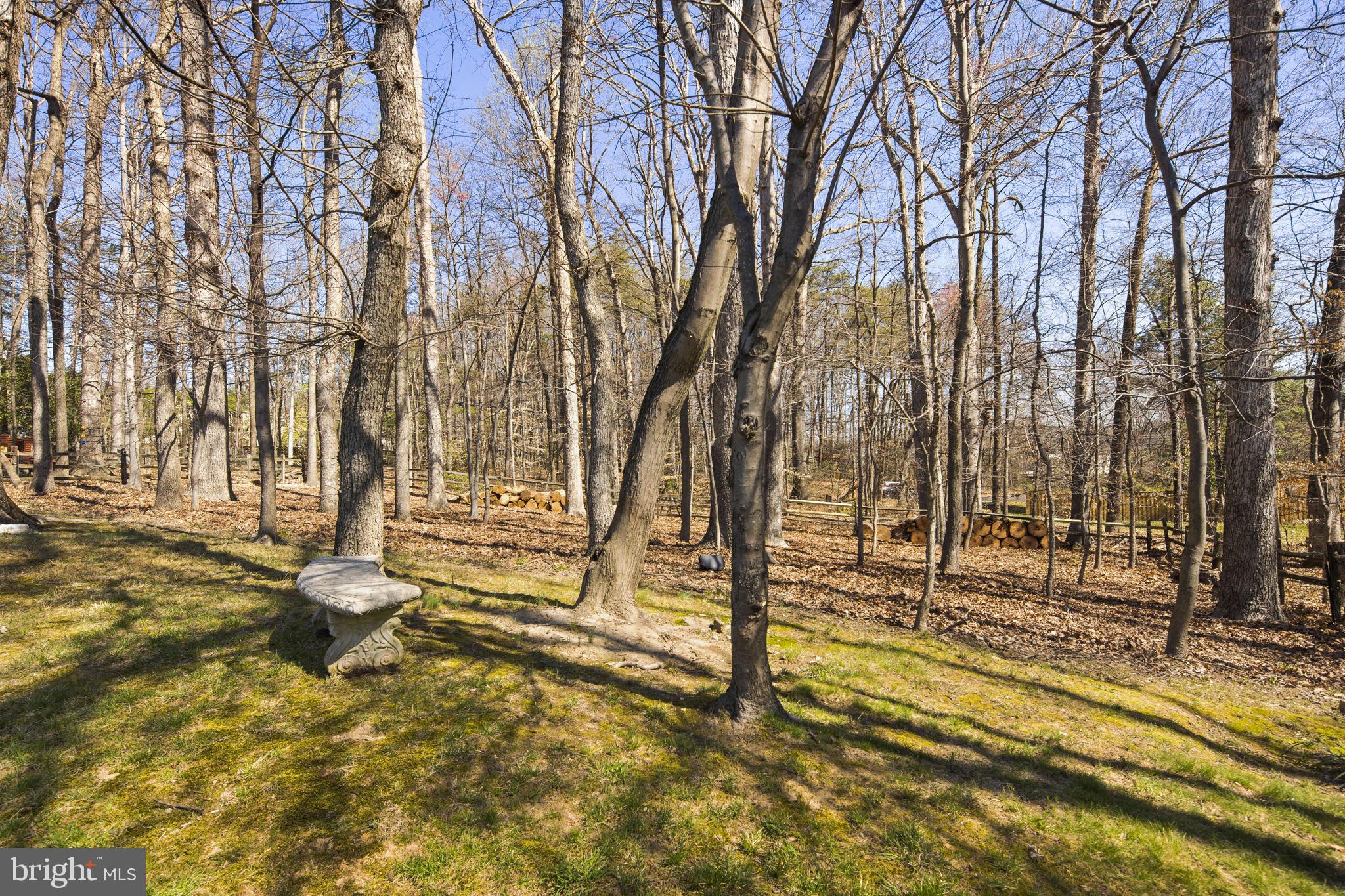 8472 Falling Leaf Road Springfield, VA 22153 - Photo 54 of 55
