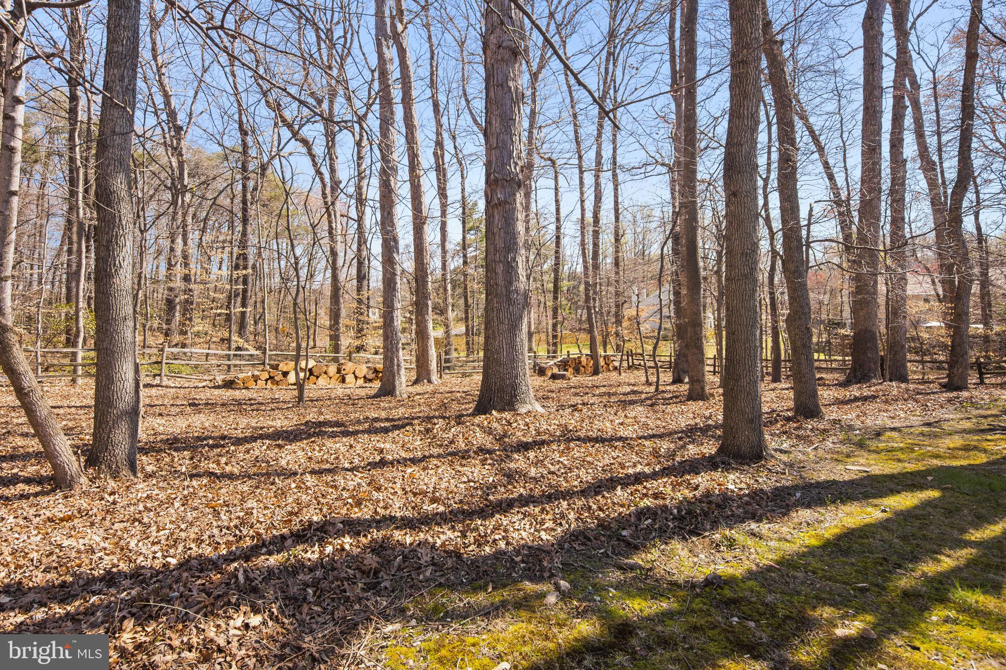 8472 Falling Leaf Road Springfield, VA 22153 - Photo 55 of 55