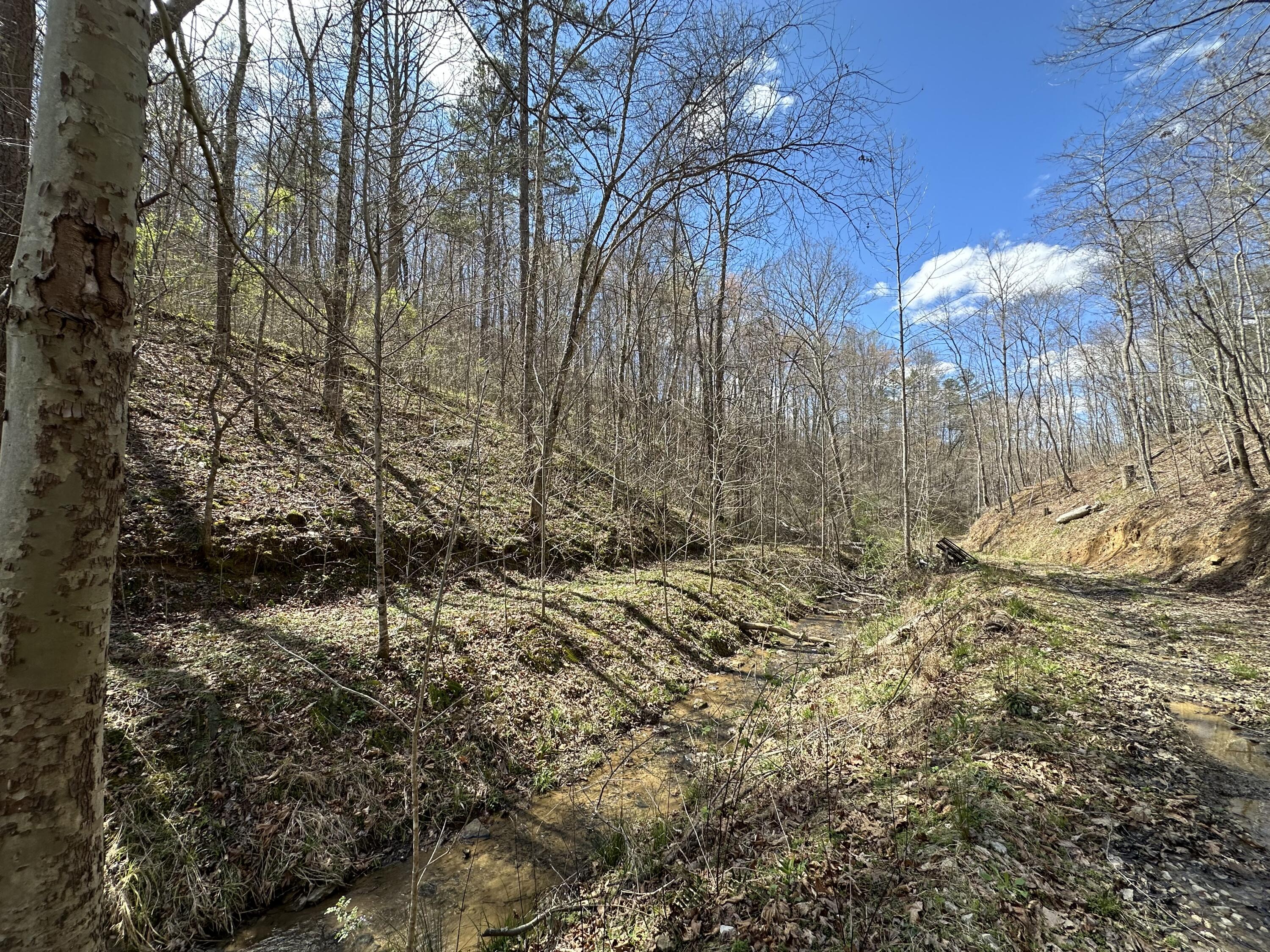 Tract #2 Tract Ridge Annville, KY 40402 - Photo 11 of 15 IMG_0934