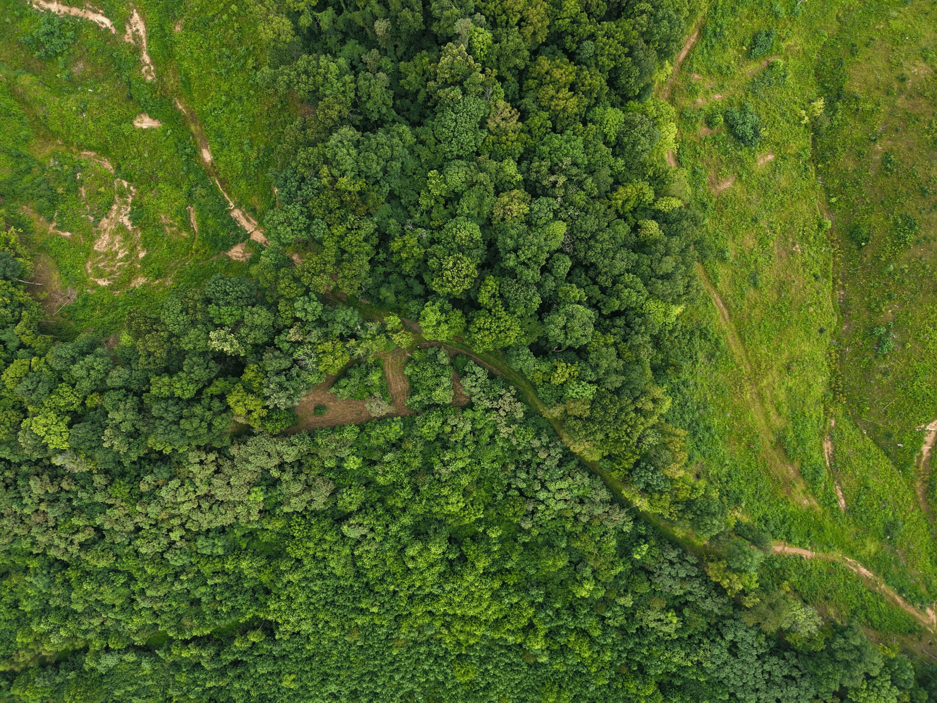 0 Cottrill Road Albany, OH 45710 - Photo 26 of 35 26. Food Plot