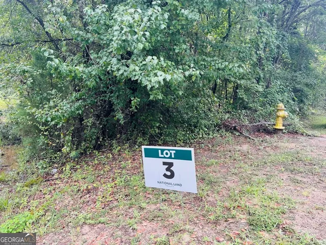 a view of a trees with a yard