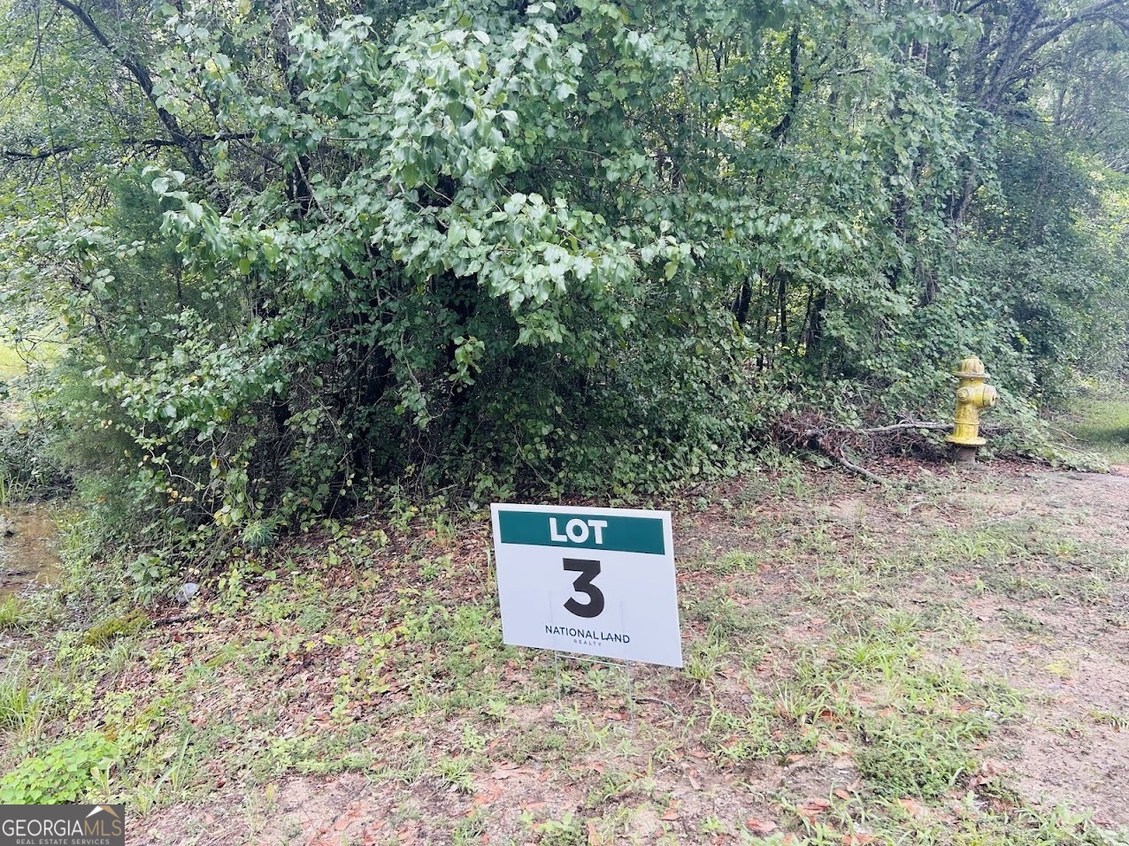 a view of a trees with a yard