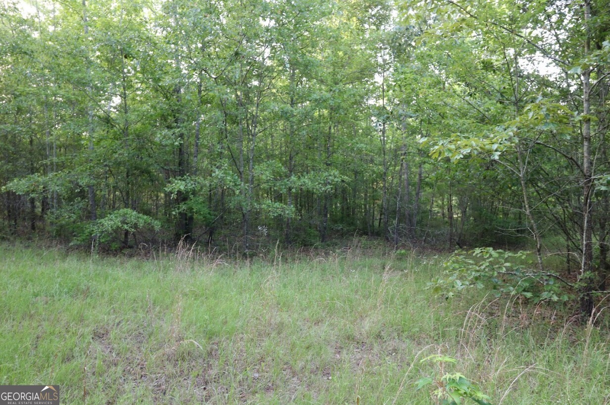 0 Kings Mill Road, Unit 3 Wrens, GA 30833 - Photo 17 of 23 a view of a lush green forest with lots of trees