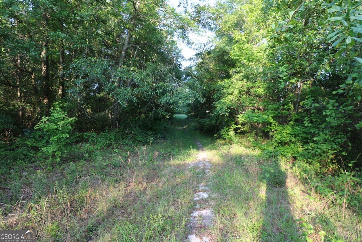0 Kings Mill Road, Unit 3 Wrens, GA 30833 - Photo 8 of 23 a view of a green yard