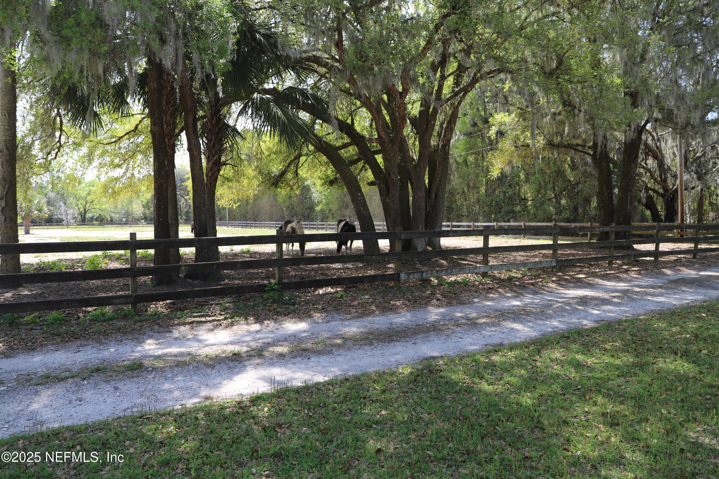 162 Tanner Road Florahome, FL 32140 - Photo 23 of 28 IMG_3739