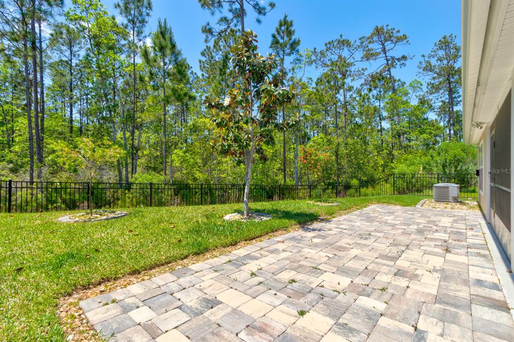 9 Ace Court Bunnell, FL 32110 - Photo 27 of 51 a view of a yard with plants
