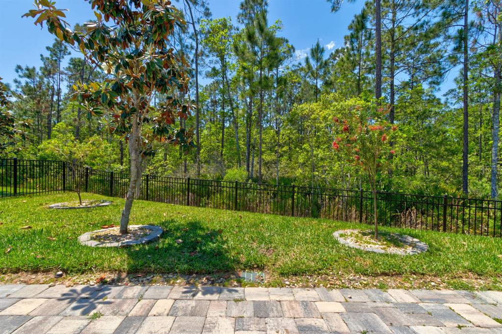 9 Ace Court Bunnell, FL 32110 - Photo 30 of 51 a garden view with a fountain