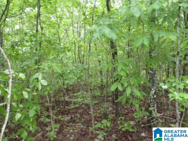 0 Shocco Springs Road, Unit 40 5 AC Talladega, AL 35160 - Photo 24 of 30