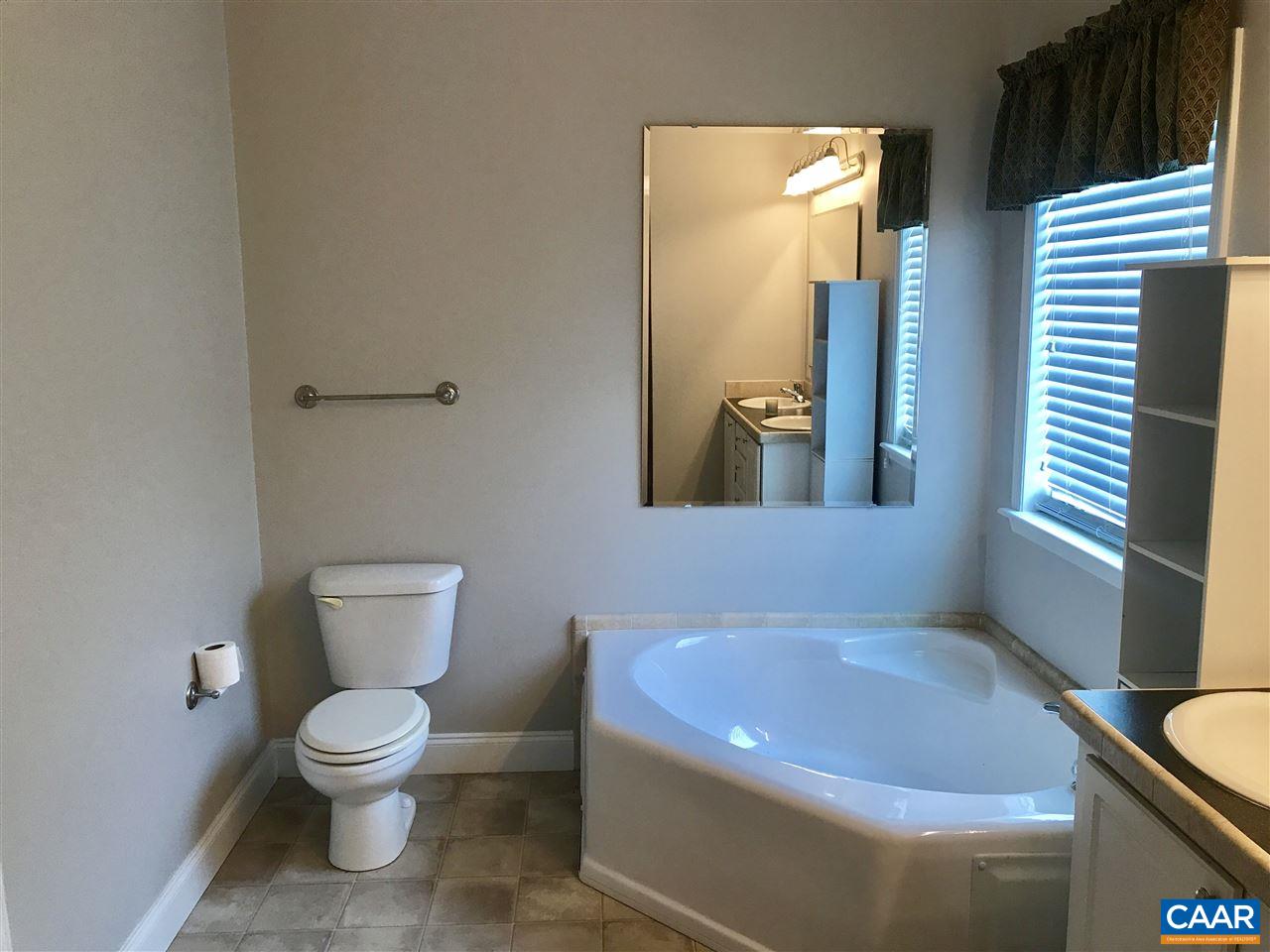 294 Chopping Road Mineral, VA 23117 - Photo 9 of 32 a bathroom with a toilet and a sink