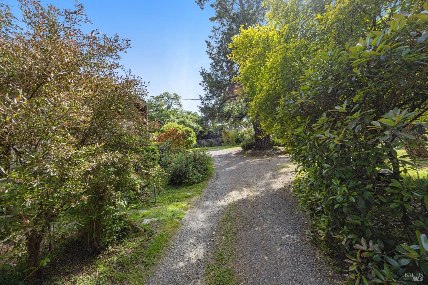 171 Gold Ridge Road Sebastopol, CA 95472 - Photo 7 of 97