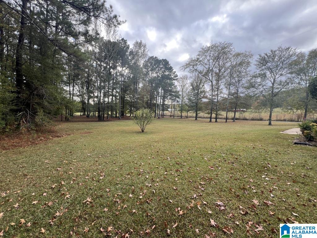 631 Burtram Road Springville, AL 35146 - Photo 39 of 40 Gallery Image 39