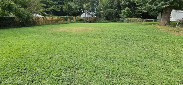 a view of a park with large trees