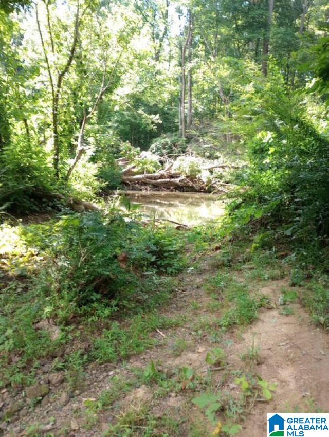 5100 Washington Valley Road, Unit PARCEL #1 Springville, AL 35146 - Photo 12 of 20