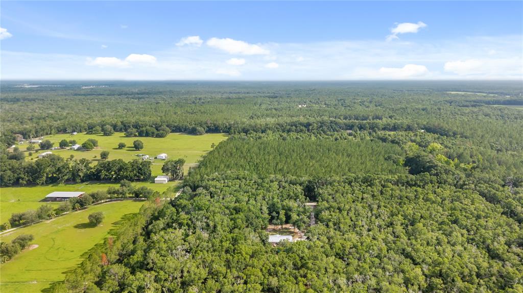 6679 Northwest 27th Place Bell, FL 32619 - Photo 53 of 55