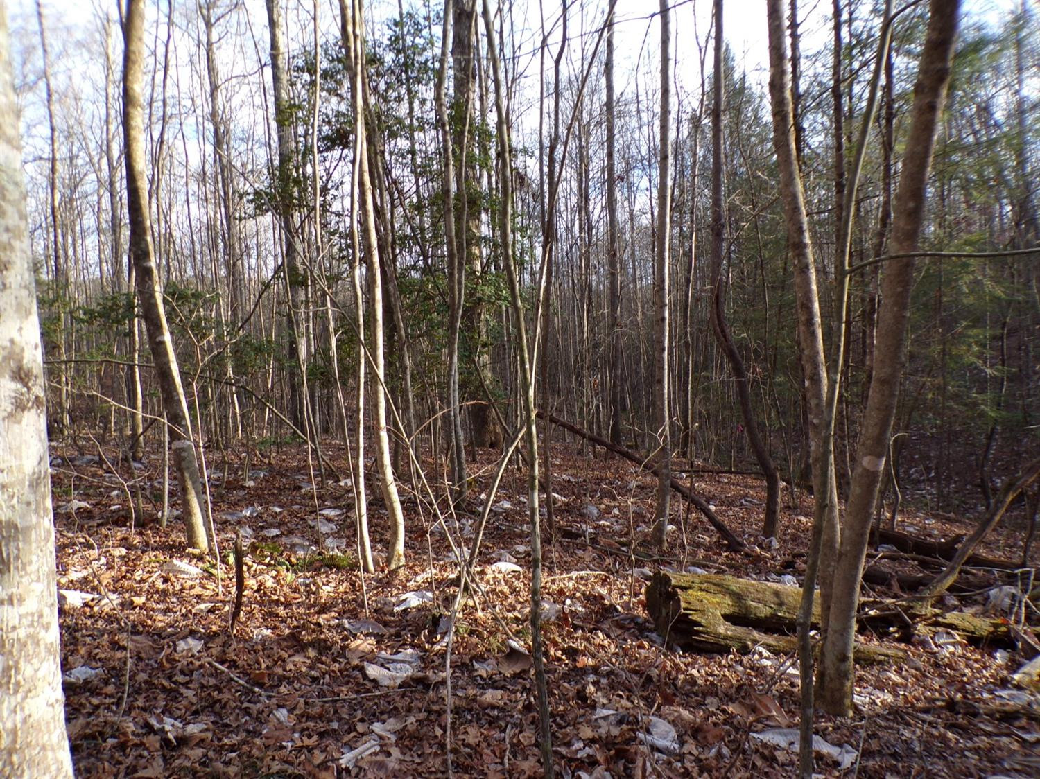 4200 Forest Service Road London, KY 40744 - Photo 22 of 44 Photo 22