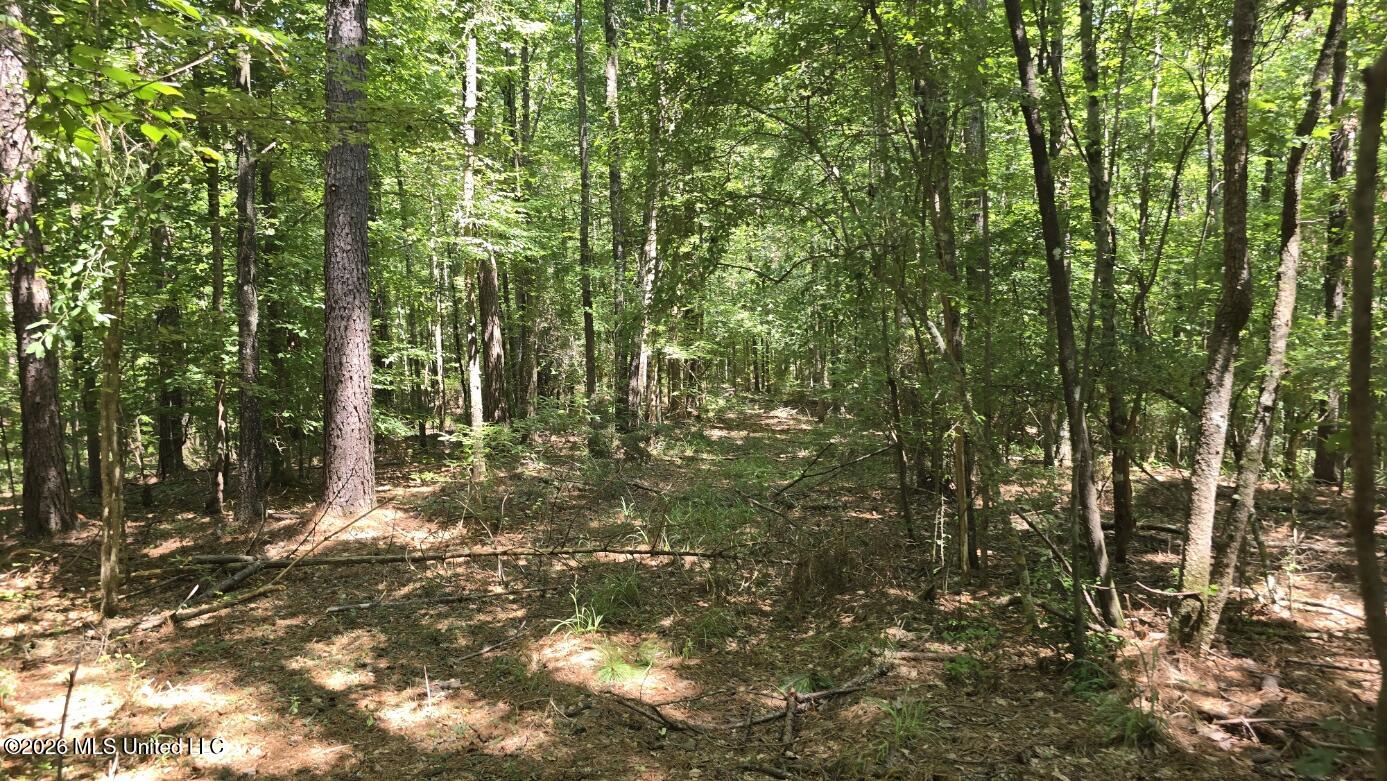 3995 Choctaw Road Brookhaven, MS 39601 - Photo 27 of 73 20260709_114153