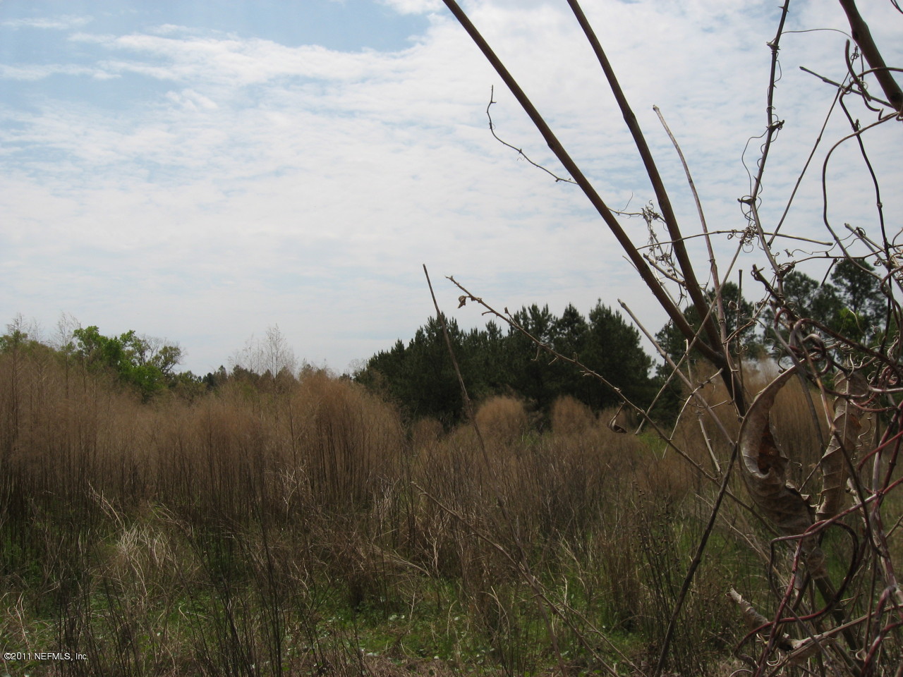 Lot Pratt Pratt Siding Road Callahan, FL 32011 - Photo 2 of 2 Front 1