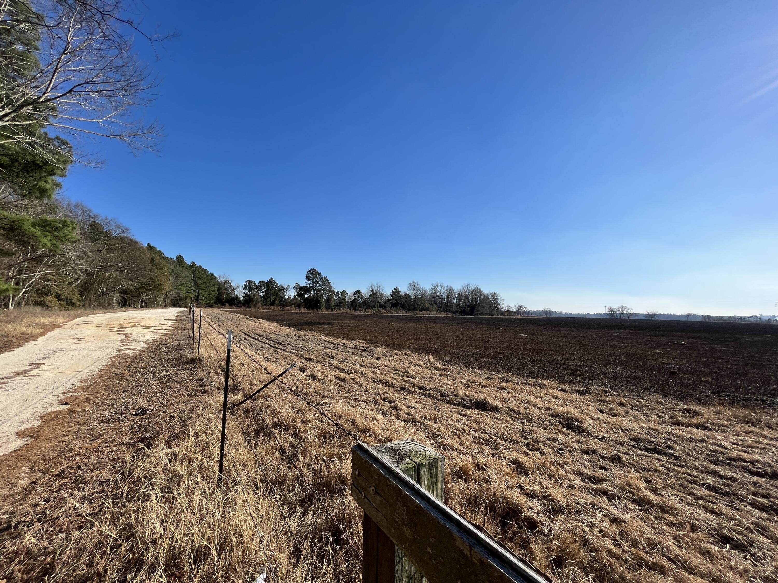 180 Sweet Water Road Girard, GA 30426 - Photo 5 of 24 IMG_2430