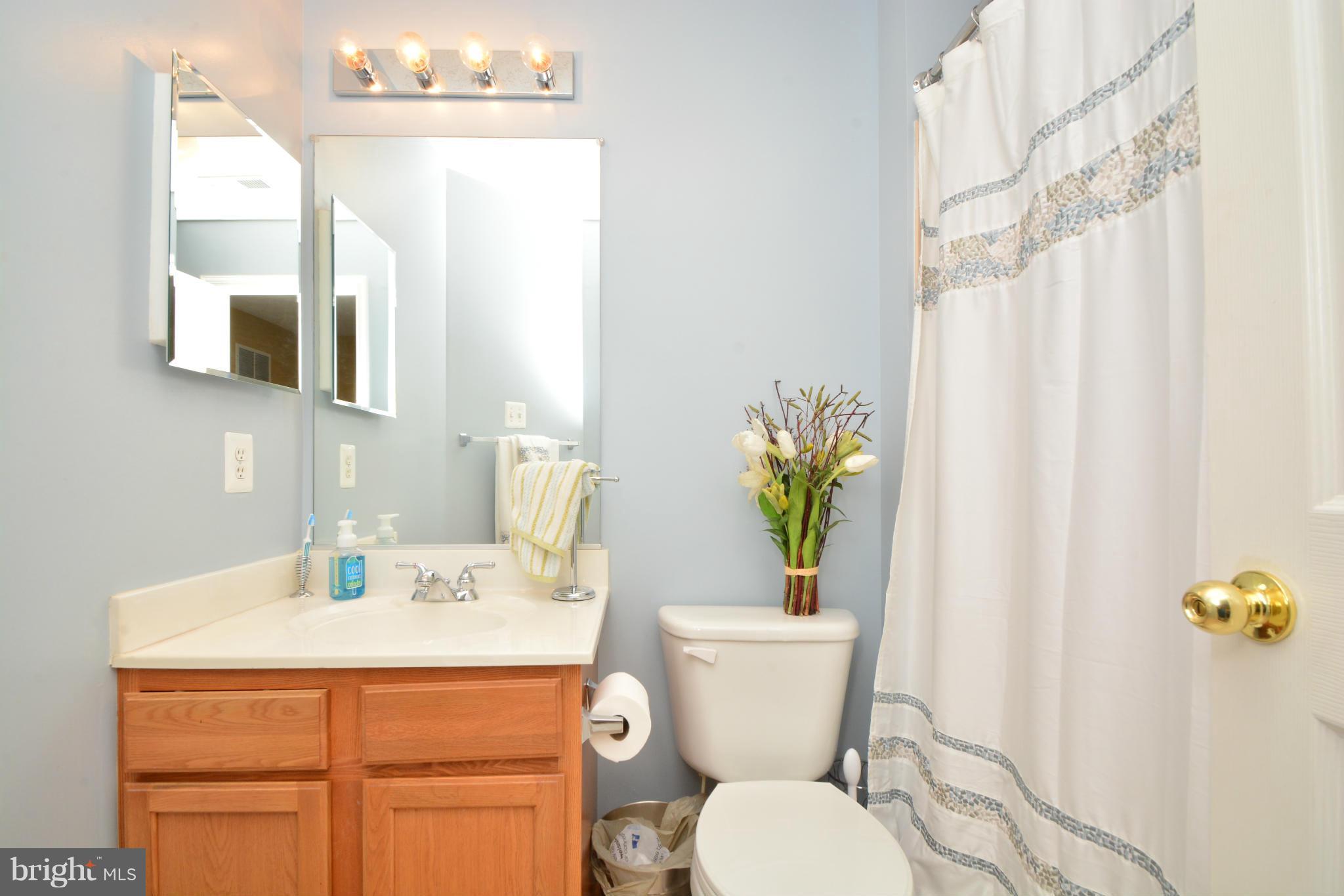 9705 Selfridge Road Baltimore, MD 21220 - Photo 29 of 30 a bathroom with a sink toilet and mirror