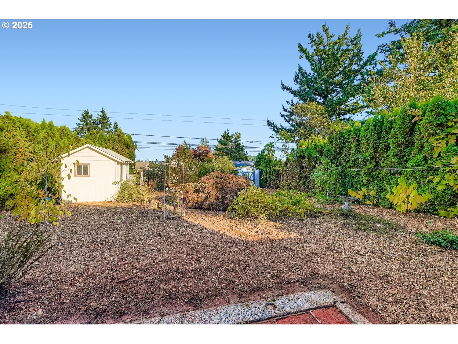 2728 Southeast 175th Place Portland, OR 97236 - Photo 24 of 33 a view of a dry yard with trees