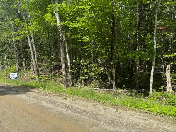 $40,000 | Lot 7 Curtis Farm Road, Lincoln, ME 04457