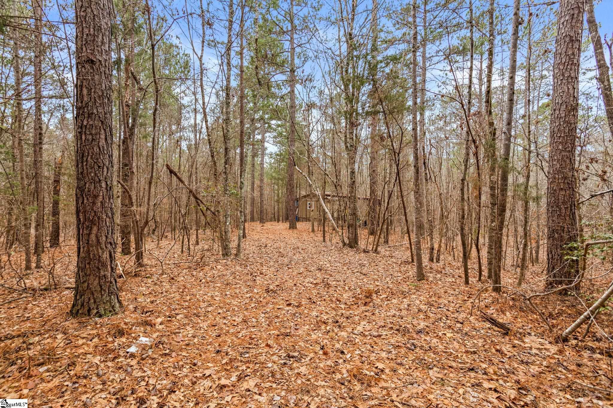 839 Duncan Creek Church Road Clinton, SC 29325 - Photo 39 of 50