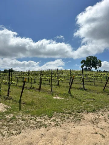 $350,000 | 6060 Gold Hill Road, Placerville, CA 95667