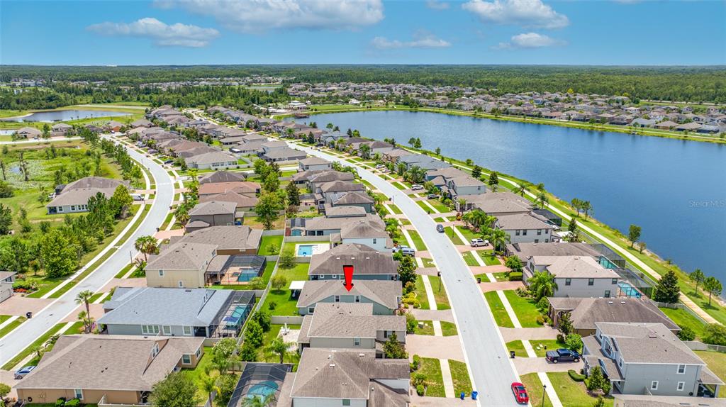 19382 Long Lake Ranch Boulevard Lutz, FL 33558 - Photo 40 of 42
