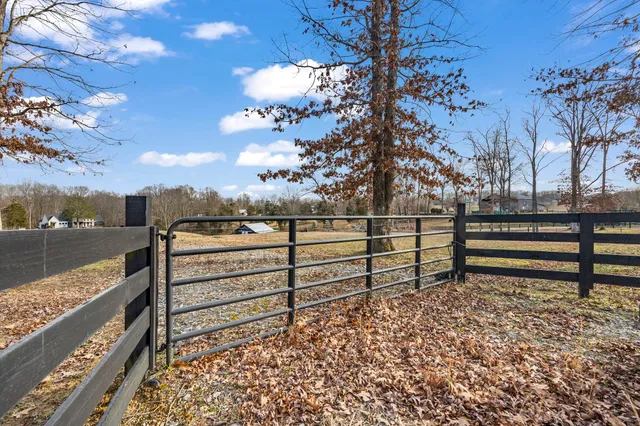 a view of a yard with wooden fence