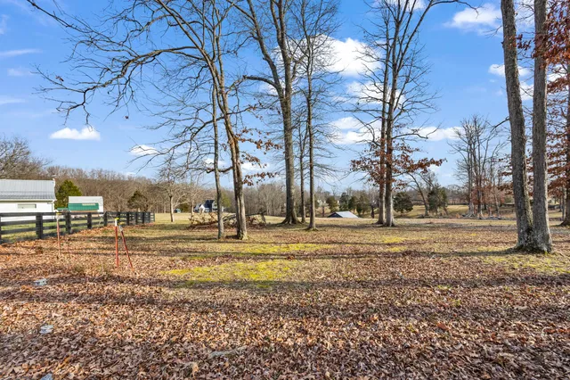 a view of a yard with a tree