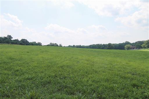 27 Cairo Bend Road Lebanon, TN 37087 - Photo 1 of 1 a view of a field with an ocean