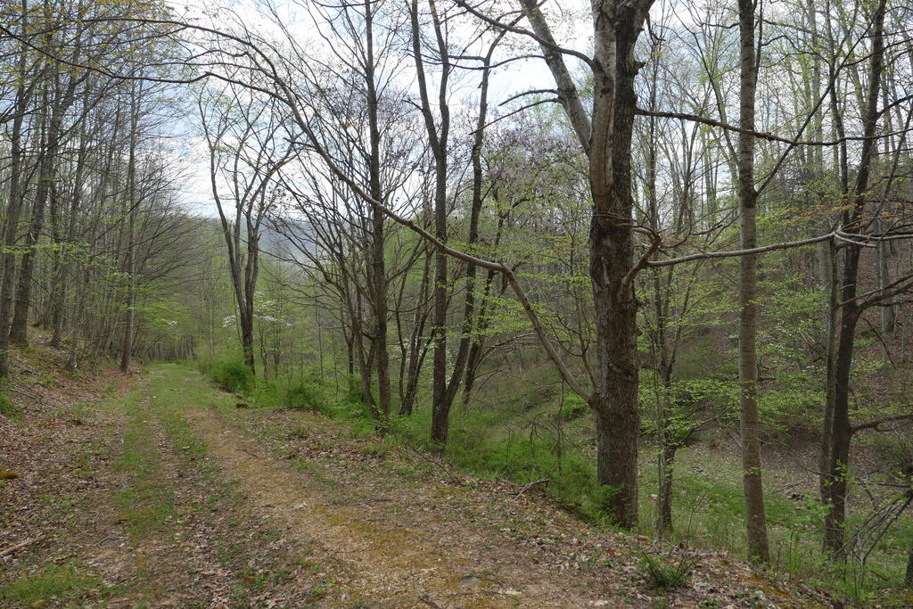 4020 Freestone Valley Road Tannersville, VA 24377 - Photo 90 of 109 Gallery Image 90