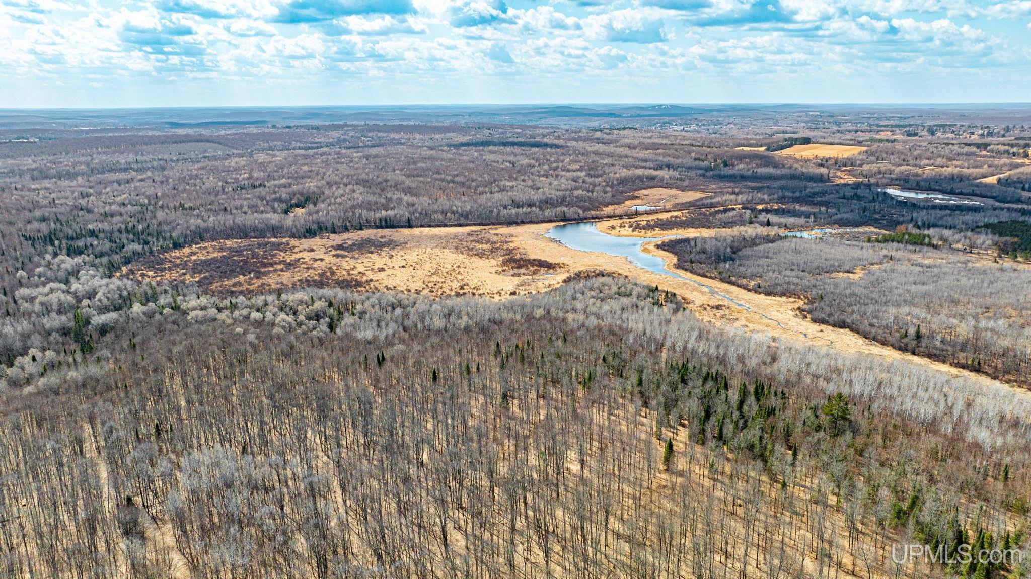 Tbd Passamani Road Iron River, MI 49935 - Photo 32 of 41