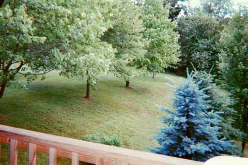 1127 Mellon Drive Rochester, PA 15074 - Photo 4 of 8 Yard/Garden.