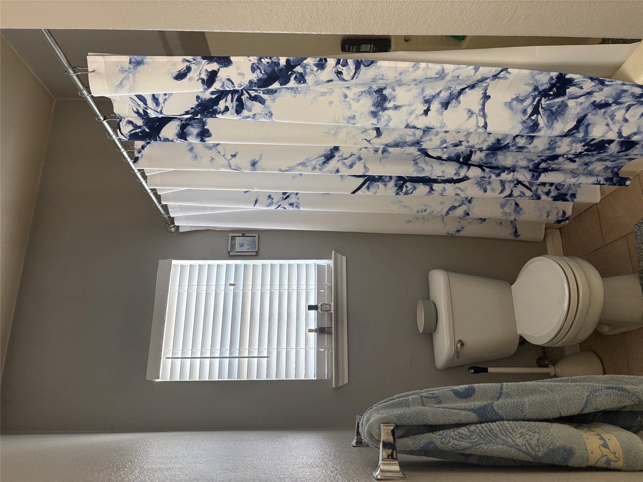 113 Canyon Road Georgetown, TX 78628 - Photo 19 of 21 a white toilet sitting next to a shower curtain