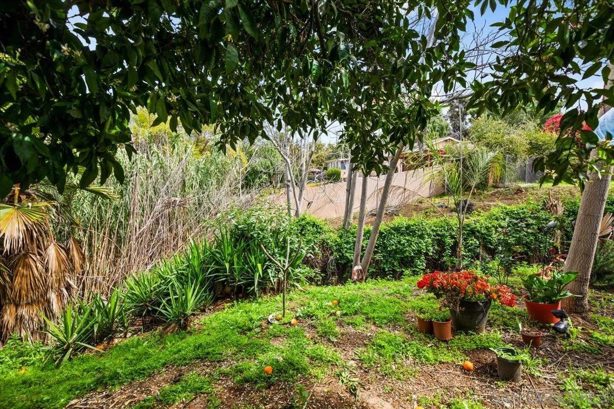 8719 Gardena Road Lakeside, CA 92040 - Photo 33 of 38 a backyard of a house with lots of green space and trees all around