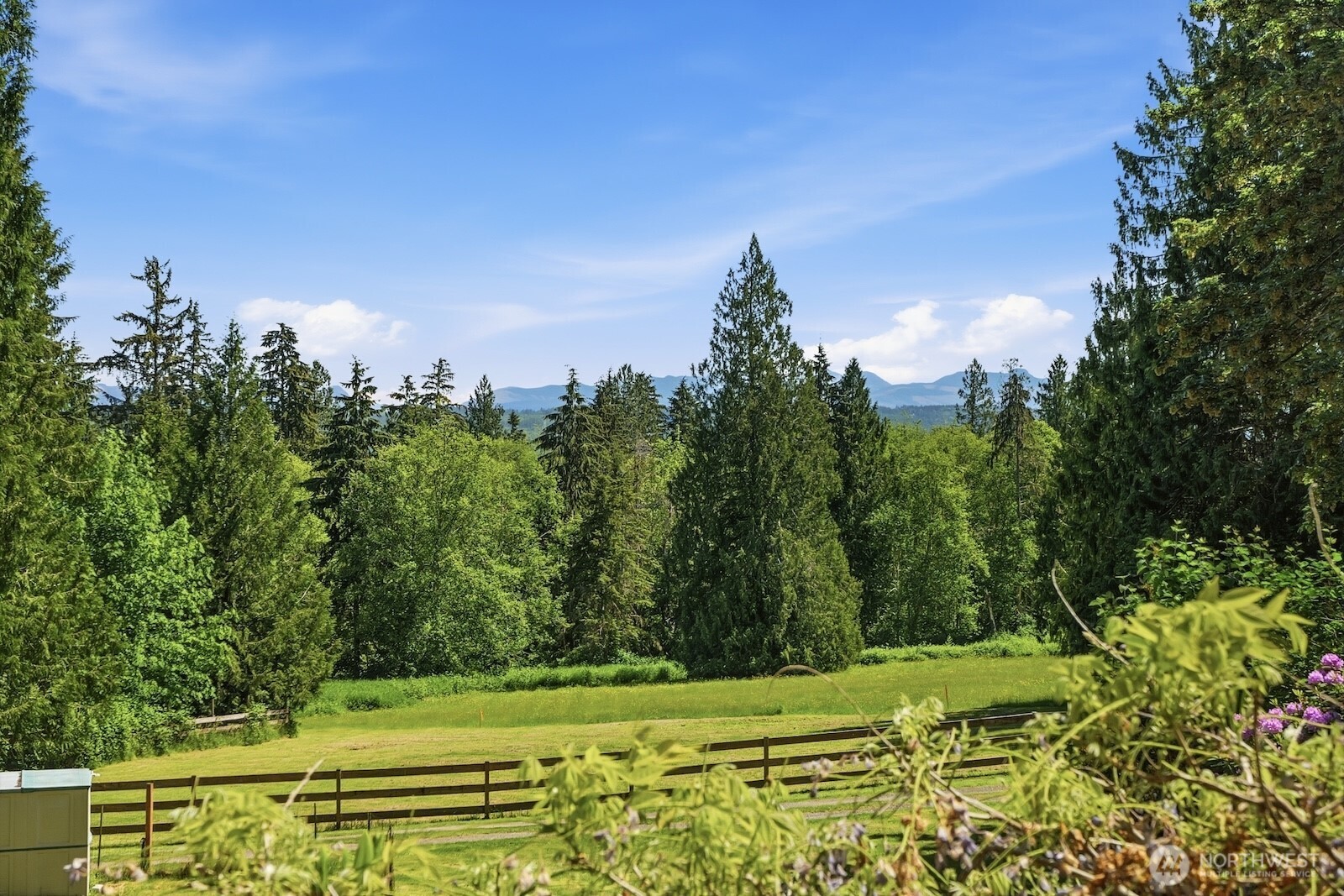 30130 Southeast Issaquah-Fall City Road Fall City, WA 98024 - Photo 5 of 39 a view of a yard with an trees