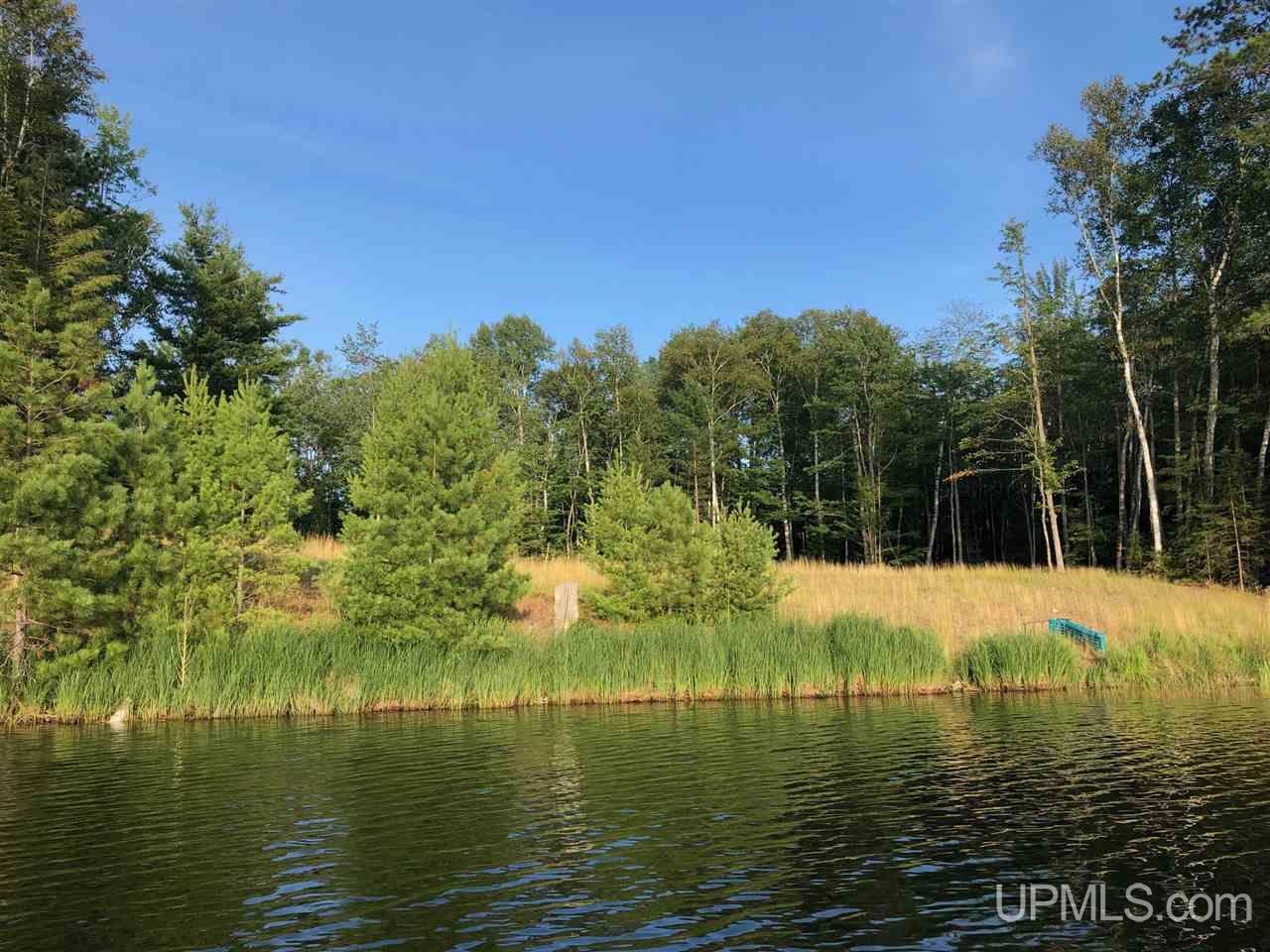 14665 Mahskeekee Lake 33 Rd (co Rd 442) Wetmore, MI 49895 - Photo 4 of 9