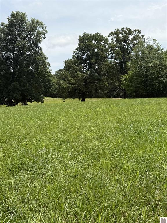 2510 Olive Hamlet Road Benton, KY 42025 - Photo 25 of 30 6