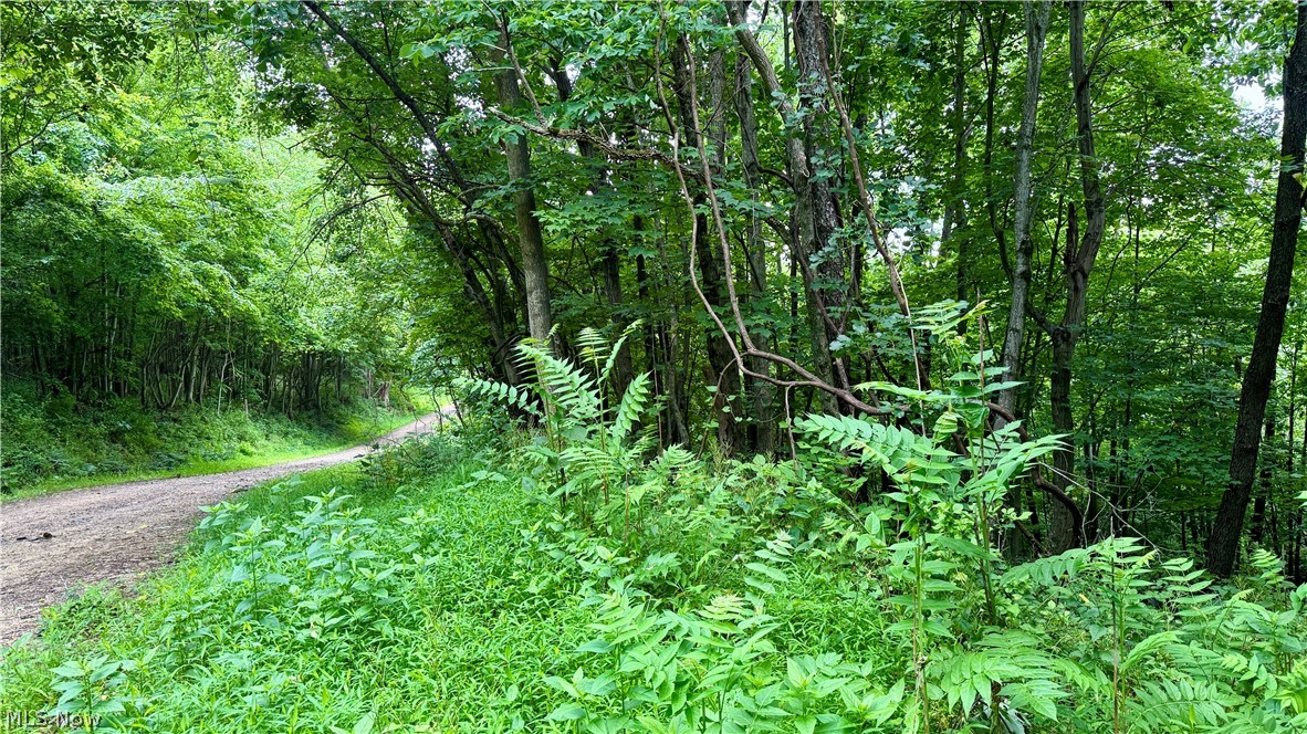 Marlott Run Road Kimbolton, OH 43749 - Photo 28 of 49