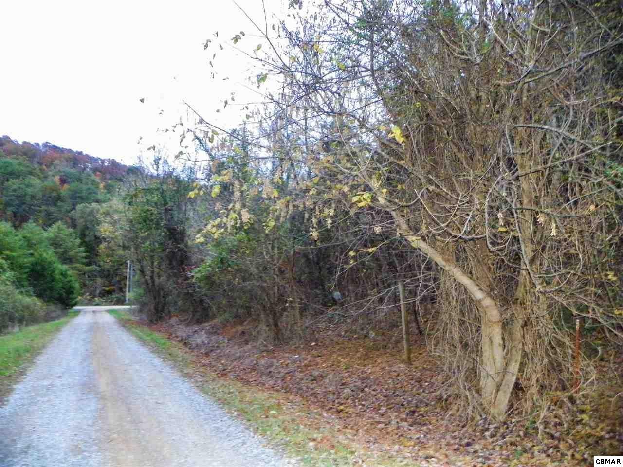 123 Caughron Mountain Road Sevierville, TN 37876 - Photo 8 of 14